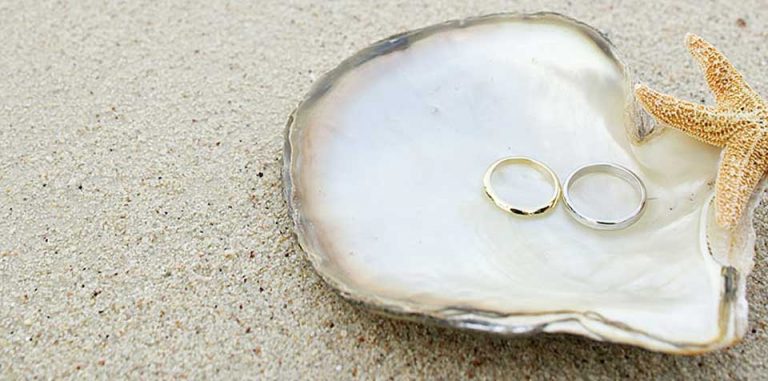 Wedding Rings in a sea shell